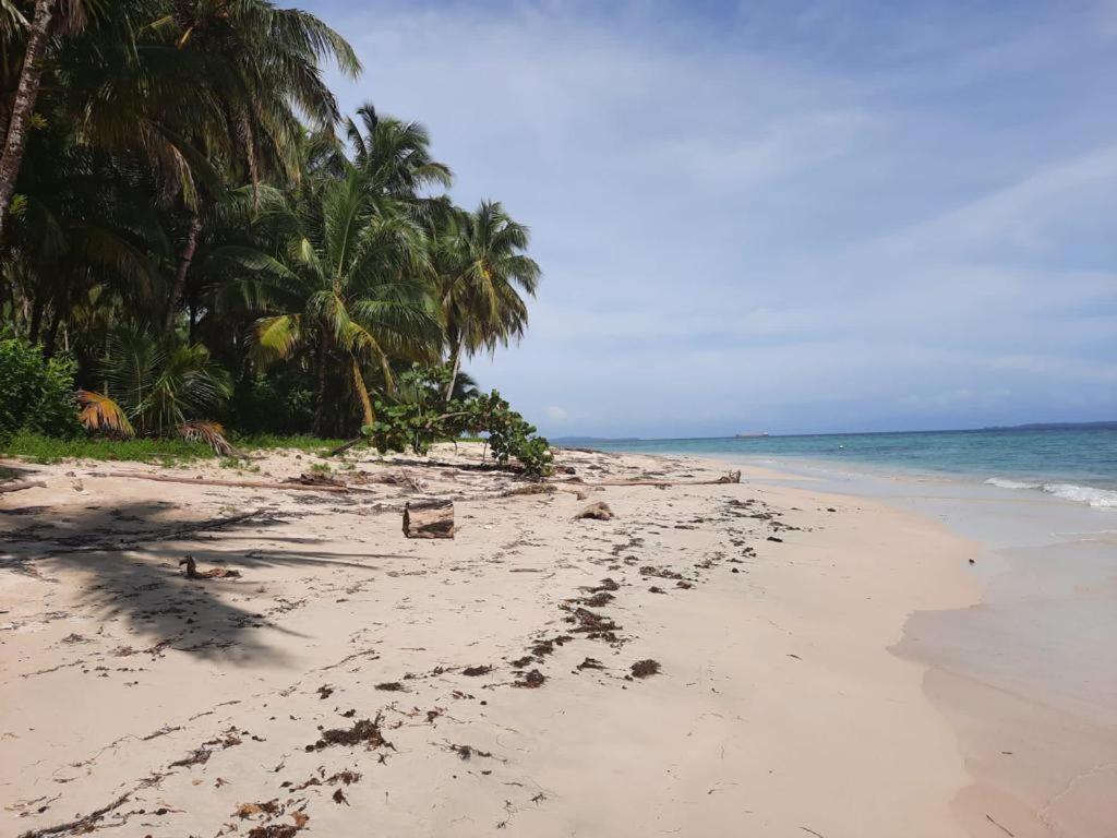 Casa Acuario Boutique Hotel Bocas Town Bagian luar foto