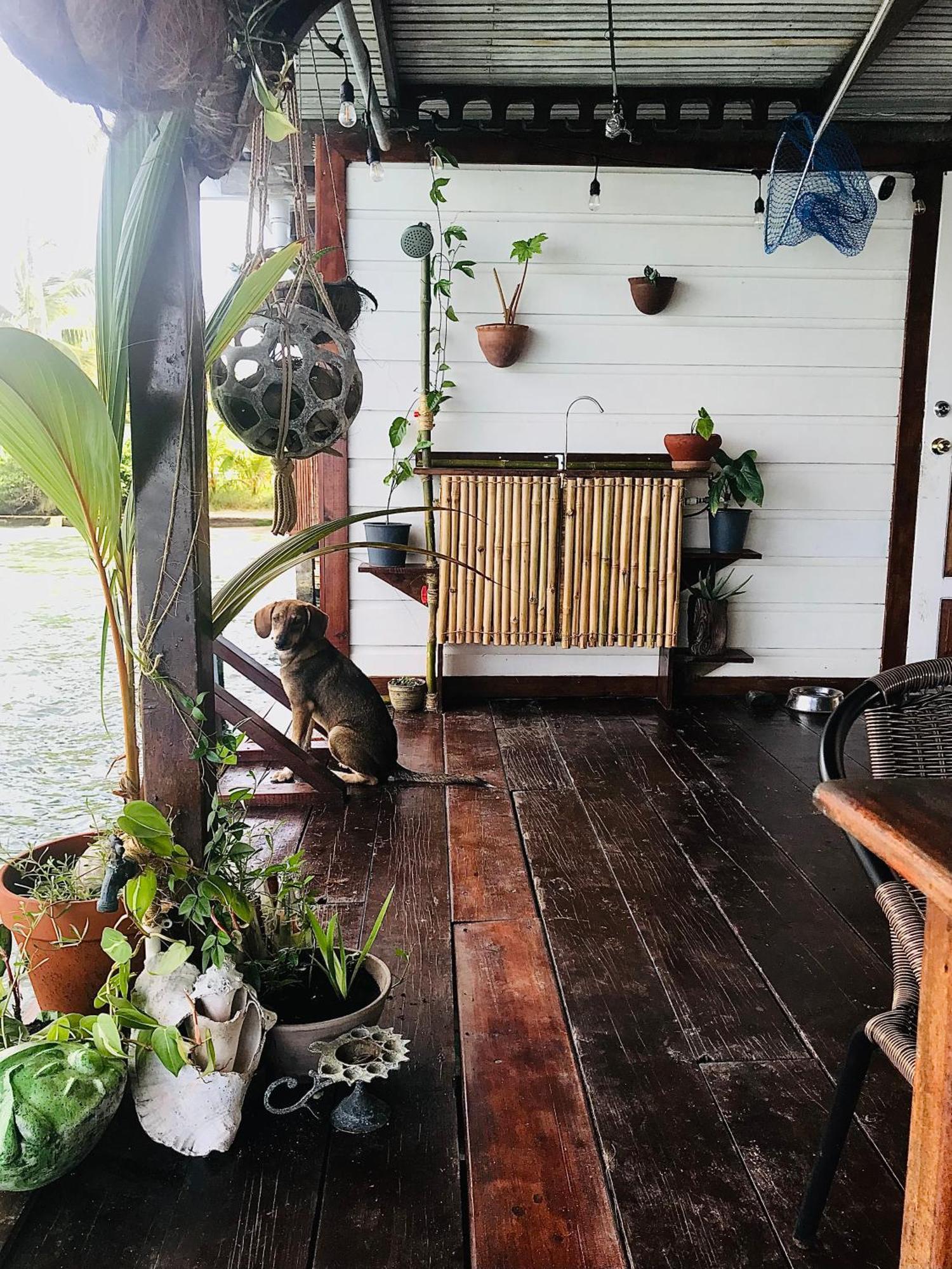 Casa Acuario Boutique Hotel Bocas Town Bagian luar foto